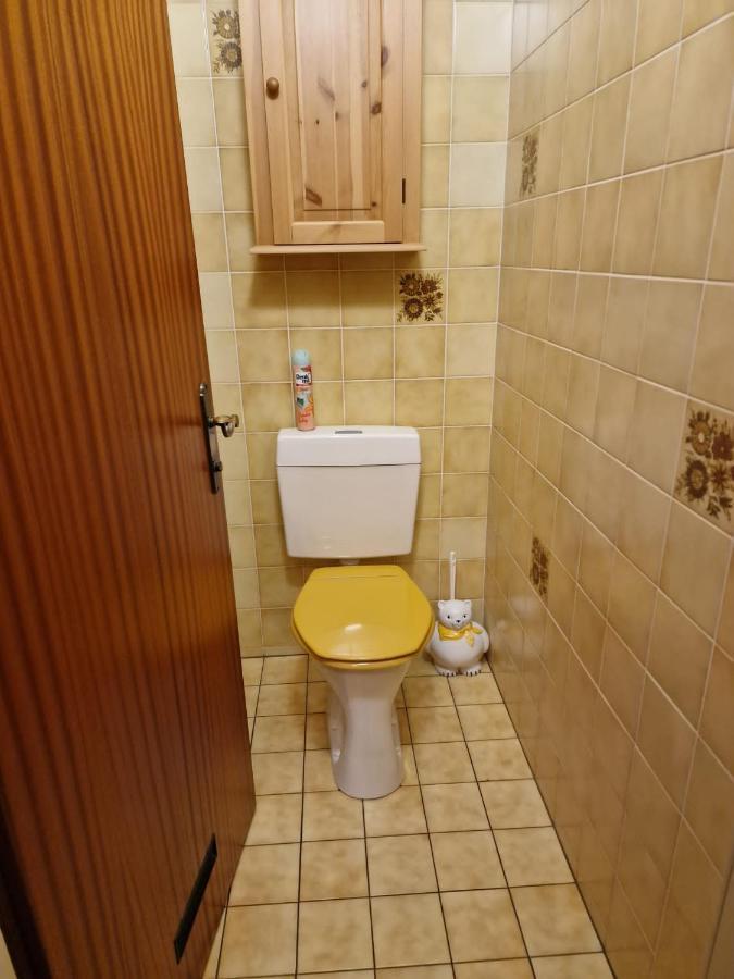 Appartment Christine Bad Aussee Eksteriør billede